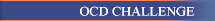 Treatment Scholarships