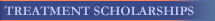 Treatment Scholarships
